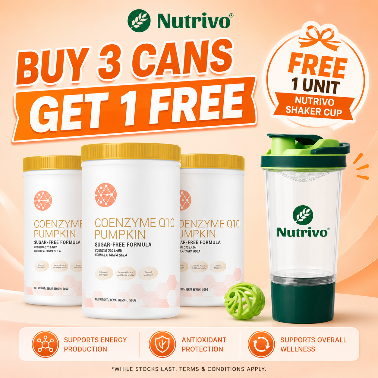 Coenzyme Q10 Pumpkin Sugar Free Formula 500g